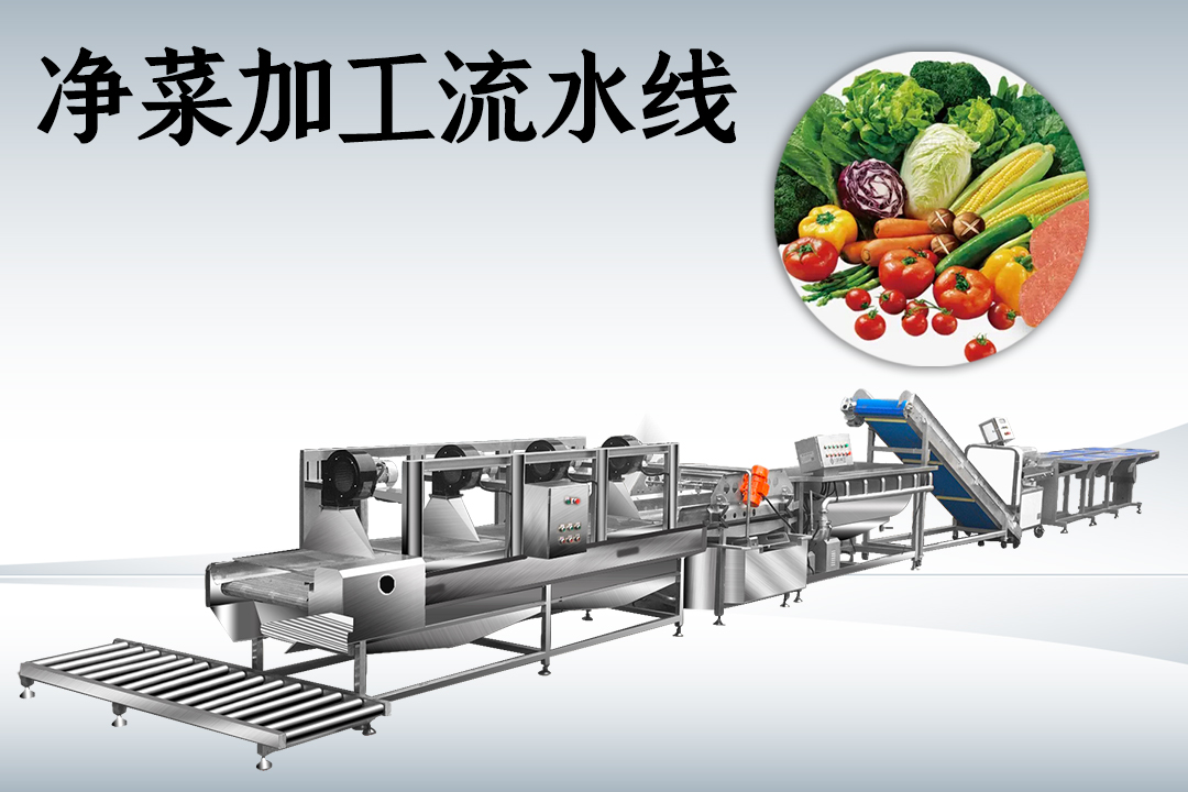 净菜加工流水线