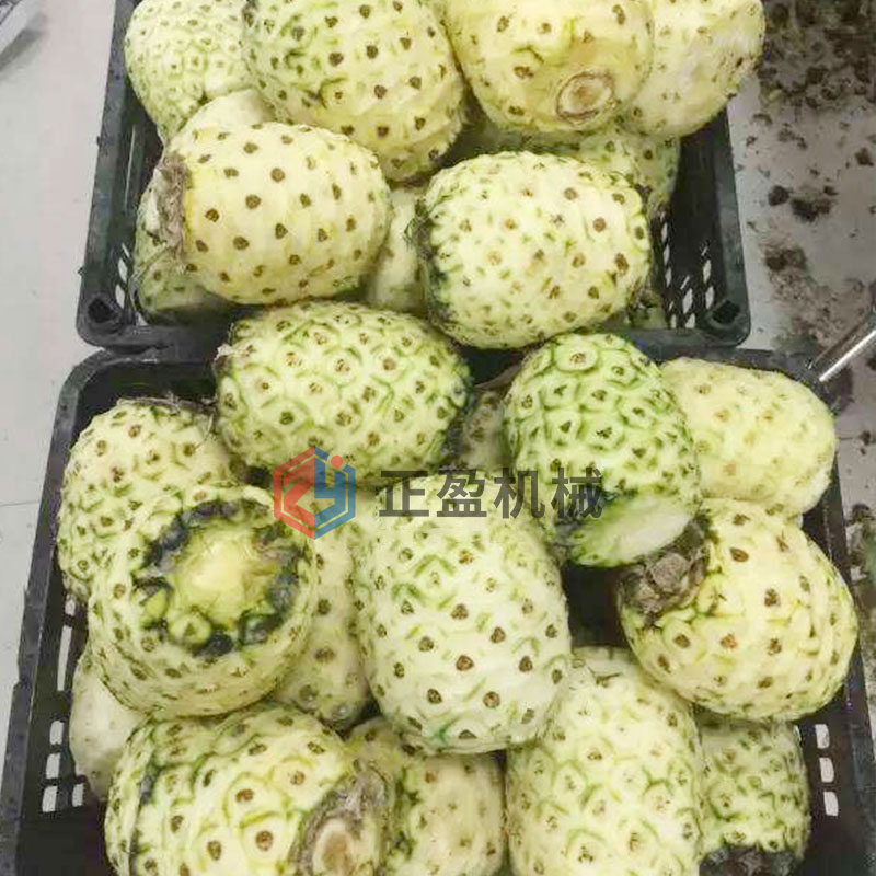 污污污WWW精品国产网站